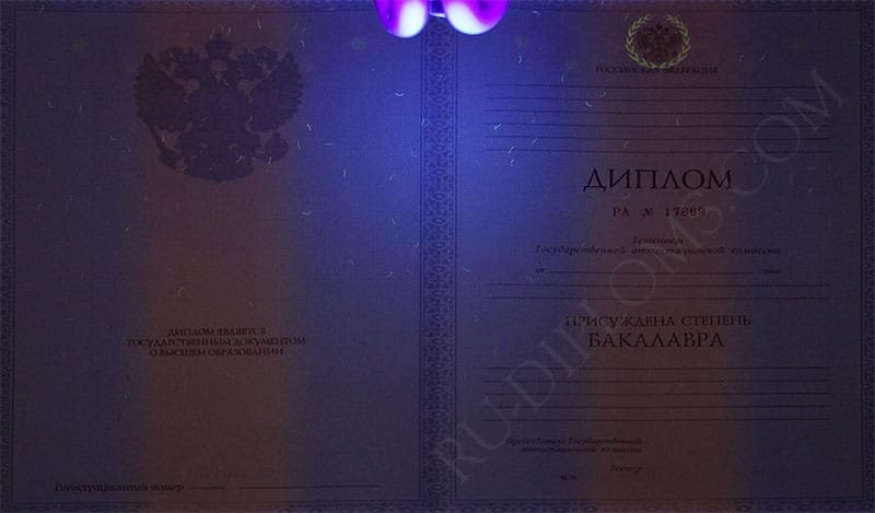 Диплом бакалавра 2010-2013 год  